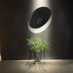 点击看大图 -美壹生皮肤管理中心
