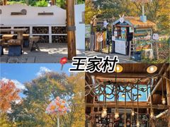 -紫藤园·天目湖大鱼头(南山竹海店)
