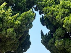 -小麦岛公园