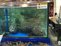 水产区-东江海鲜酒家(艺都分店)