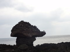-涉地可支
