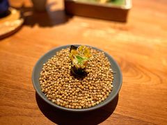 苜蓿芽菠萝手卷-天水蔬食料理(树德之光店)