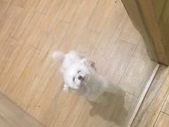 -Double Rui宠物酒店