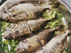 -丰尔粥食·粥底火锅·桑拿鸡(大良总店)