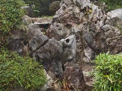 -菊花台公园