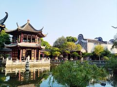 -碧江金楼