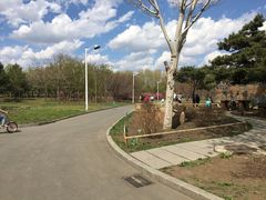 -长春公园(普阳街道)