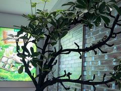 -海底捞火锅(高科广场店)