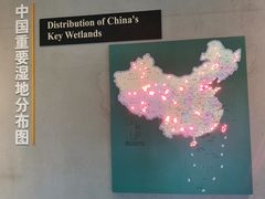 -中国湿地博物馆