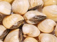 -御膳粥·牛乳粥底火锅·地道顺德菜(容桂店)