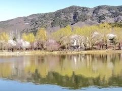 -国家植物园南园