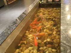 -全聚德烤鸭店(和平路店)