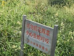 -白草畔自然风景区