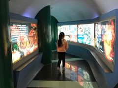 -上海昆虫博物馆