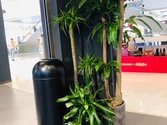 -茶颜悦色(德思勤L1层游园会店)