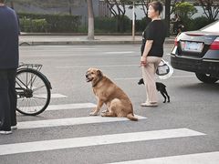 -全心全意动物诊疗中心医院(北苑店)