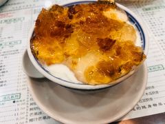 桃胶双皮奶-仁信老铺(华盖路店)
