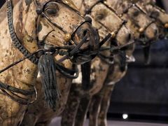 -秦始皇帝陵博物院-丽山园