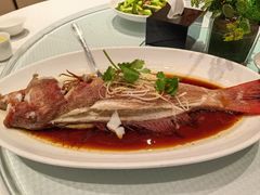 -双井轩(双井店)