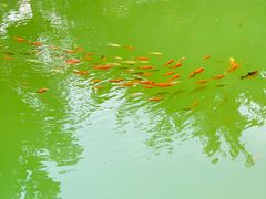 -李叔同故居纪念馆