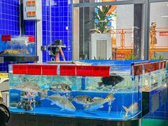 -明本湛江鸡•海鲜小厨(陈家祠店)