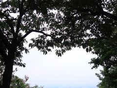-惠山国家森林公园