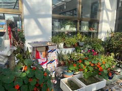 -北京龙庆四季香农家饭庄·灶台鱼·碳烤虹鳟鱼(龙庆峡店)