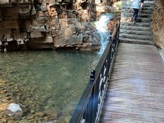 -崔家大院·特色农家菜