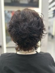 -蚂蚁造型俱乐部