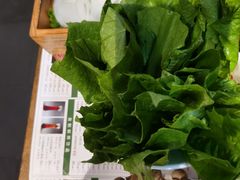 -南门四季铜锅涮肉(左家庄店)