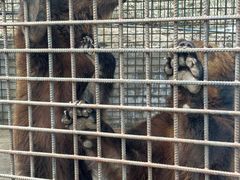 -水上乐园·欢乐世界