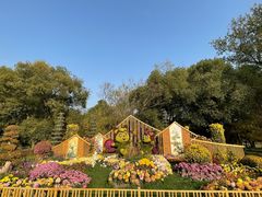 -上海共青森林公园