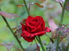 -韶关经律论国际酒店温泉