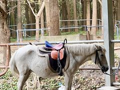 -共青国家森林公园-售票处