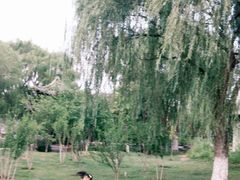 -济南国际园博园