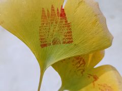 -北京石刻艺术博物馆(五塔寺)