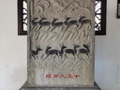 -上海醉白池公园