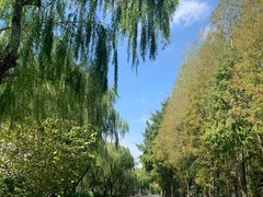 -太阳岛度假酒店