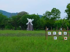 -长兴太湖图影湿地文化园