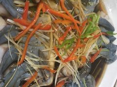 -煲来饱去冷水鱼