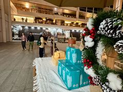 -深圳湾万象城(南山店)