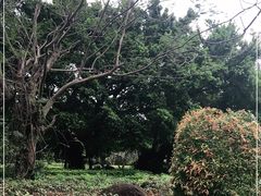 -白沙门生态公园