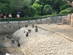 -哈尔滨北方森林动物园