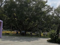 -云溪植物园