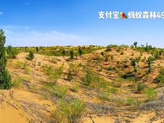 -亿利库布其七星湖沙漠生态旅游区