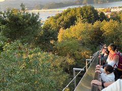-千岛湖天屿景区
