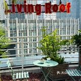 别问了就在南京！超出片的天台咖啡！