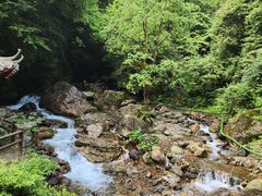 -西岭雪山大飞水景区