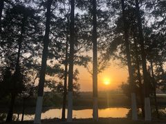 -上海崇明金茂凯悦酒店