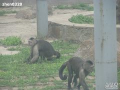 -西安秦岭野生动物园